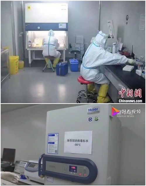 科技抗疫,海爾生物醫療用物聯網創新筑國家生物安全防線