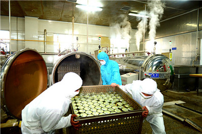 生產金槍魚罐頭(通訊員 楊志禮 攝)