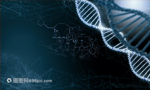 DNA分子高科技DNA分子的生物化學(xué)背景