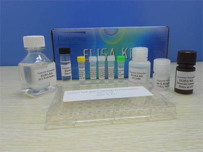 BCA Protein Assay Kit_煙臺(tái)基諾萊斯生物科技