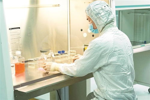 茵冠生物一款干細胞制品獲評省名優(yōu)高新技術(shù)產(chǎn)品