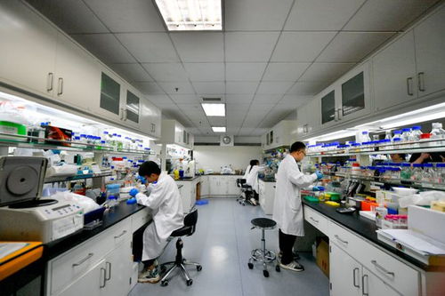 科技 二氧化碳再變身 中國科學(xué)家實現(xiàn)重大突破