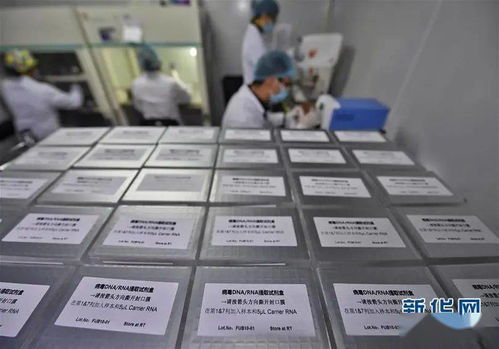 只有源頭創(chuàng)新，才能突破醫(yī)療器械領(lǐng)域“掐脖子”問題——專訪生物醫(yī)學(xué)工程專家樊瑜波