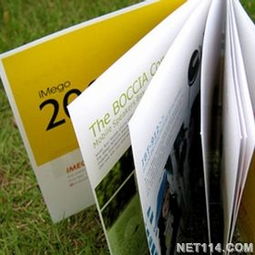 寧波樣本設計的藝術與商業價值——專業樣本畫冊設計公司與廣告發布服務的深度解析